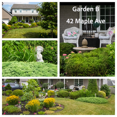 Garden B 42 Maple.jpeg