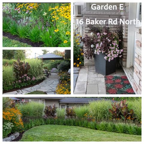Garden E 16 Baker Rd North.jpeg